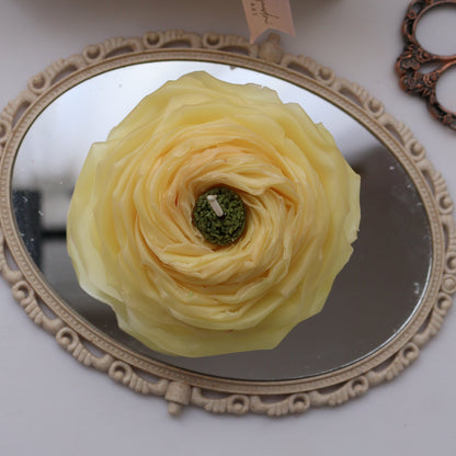 Rosa de Jardín